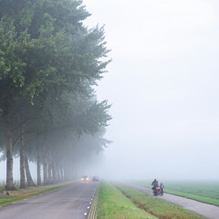 Wall Mural - traffic on bicycle and car to school and work during morning mist in the netherlands near utrecht