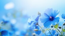 Spring Blue Flower Background Close Illustration Bloom Floral, Petal Natural, Colorful Beauty Spring Blue Flower Background Close