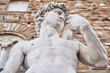 close-up from below of the copy of the statue of David by Michelangelo Buonarroti in Singoria square at the entrance of Palazzo Vecchio dei Medici in Florence