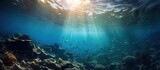 Fototapeta Do akwarium - Deep ocean full of life. Underwater coral reef with fish and rays of sun through water surface