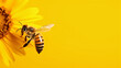 bee in front of a yellow background