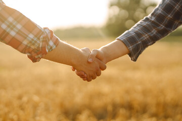 Close-up of two farmers shaking hands in a golden wheat field. Farmers in an agricultural field make an agreement with a handshake. Business concept, agriculture.