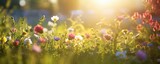 Fototapeta Na sufit - Close-Up of a Colorful Meadow, Bursting with Green Vegetation and Flowers in the Vibrant Spring, Hosting Bees and Honey in an Eco-Friendly Symphony of Growth