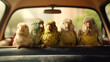 Cute birds with a car