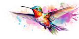 Fototapeta Motyle - Dreamy feeling of colorful hummingbird. White background. Wall art, watercolor