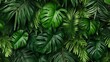 Green leaves background Green tropical monstera lea  AI generated illustration