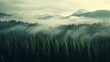 Misty landscape with fir forest in vintage retro style. photography