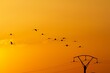 Silhouette of a flock of birds flying in the sky at sunset