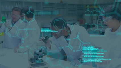 Wall Mural - Animation of data processing over diverse scientists in laboratory