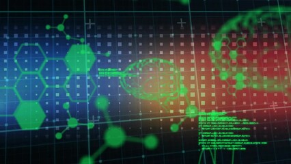 Poster - Animation of human brains and scientific data processing over grid
