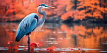 Heron In The Water,Great Blue Heron
Birds,Heron Walking Stock Illustrations,Heron With Water,Big Fallen Tree With Roots And Branches,Waterside Majesty: Great Blue Heron Gracefully In The Water,heron 
