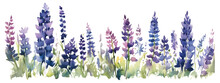 Purple Flowers Standing Tall In A Meadow Isolated On Transparent Background