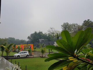 Wall Mural - a white car driving by an open area surrounded by greenery