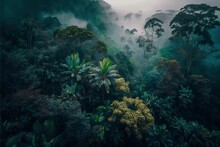 AI Generated Illustration Of Dense Green Jungle Landscape On Foggy Day With Trees And Bushes