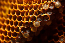 Macro Shot Of Honeycomb Cells In A Beehive, Containing Honey, AI-generated