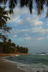 Wall Mural - Rocks and palm trees at the Dalawella Beach, Unawatuna, Sri Lanka