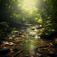 AI Generated Illustration Of A Tranquil Creek Flowing Amidst Lush Green Foliage