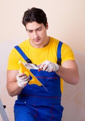 Wall Mural - Young contractor employee applying plaster on wall