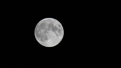 Wall Mural - full moon rising slowly in dark sky, detailed view