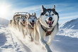 team of husky sled dogs diligently pulls a sled through the pristine and expansive Arctic mountain terrain. Shallow field of view focuses on this awe-inspiring scene. Generative AI.