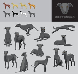 Wall Mural - Dog Greyhound Grey Coat Cartoon Vector Illustration Color Variation Set