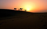 Fototapeta Zachód słońca - Camels and some people walking on a desert sand dune against a beautiful sunset sky, India