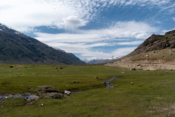 Wall Mural - a grassy area with a stream of water running through the center