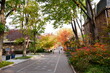 University of Pennsylvania Fall colorful foliage autumn landscape	
