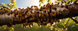 A swarm of bees on a tree. generative ai