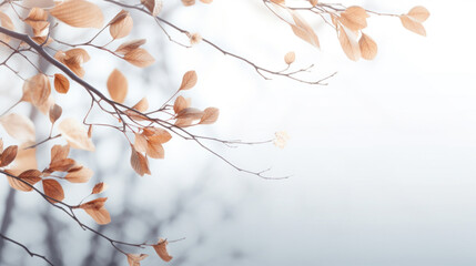  Autumn trees with leaves on light background