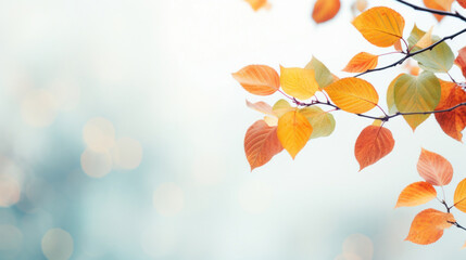 Poster - Autumn trees with leaves on light background