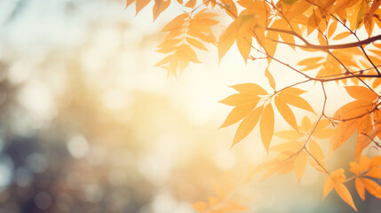 Poster - Autumn trees with leaves on light background