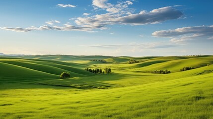 bucolic field scene grass landscape illustration sky beautiful, summer day, green outdoor bucolic fi