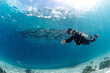 © zephyr_p - Underwater scuba diving. Male diver swimming with a school of barracuda fish in crystal clear blue water at Racha island, one of the beautiful dive sites of Andaman Sea in Phuket, Thailand.