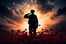 A Silhouette Of A Military Soldier Standing In A Field Of Poppies. Remembrance Day