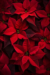 Wall Mural - Abstract background with red Poinsettia leaves. Vertical composition.
