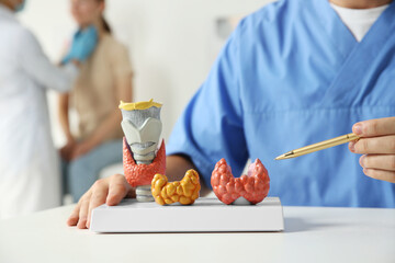 Sticker - Endocrinologist showing thyroid gland models at table while another doctor examining patient in hospital, closeup