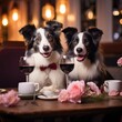 loving couple of dogs enjoying romantic dinner in restaurant