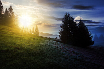Wall Mural - fir trees on hillside meadow with sun and moon at twilight. day and night time change concept. myste