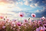 Fototapeta Kosmos - Floral landscape with blooming cosmos flowers beneath a bright morning sky adorned with fluffy clouds and sunlight. Generative AI
