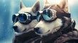 Two furry companions donning protective eyewear as they adventure through the great outdoors, a husky and sunglasses-clad canine creating a dynamic duo of adventure and style