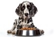 dog sitting with a heap bowl of cat food on white background. Generative AI