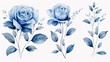 set watercolor elements of Light Blue roses collection garden flowers; leaves; branches. Botanic; illustration, eucalyptus Wedding floral design, white background
