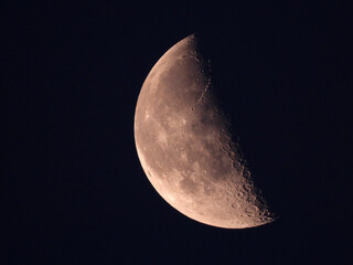 Wall Mural - moon in the third quarter phase with dark sky in the background