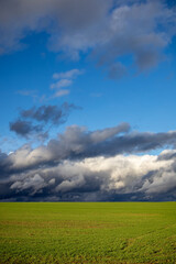 Wall Mural - Minimalist photo of green meadow and blue sky with dramatic clouds