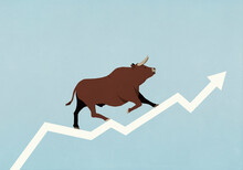 Bull Walking Along Ascending Stock Market Arrow On Blue Background
