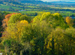 Vibrant early autumn tree colour Burton Dassett Hills, Warwickshire, UK