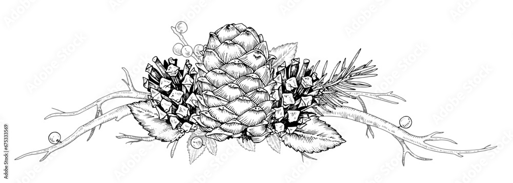 Winter forest plants border. Vector illustration of pine cone and fir ...