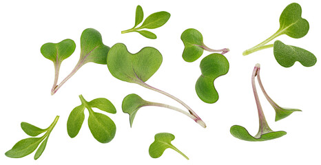 Wall Mural - Microgreen leaves isolated on white background