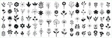 Fototapeta Pokój dzieciecy - Flower icon set silhouettes, Abstract flower icon